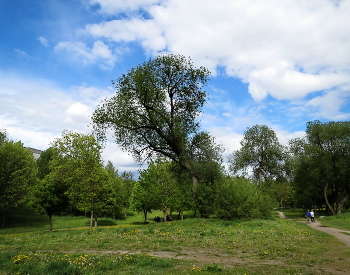 Mai Himmel / ***