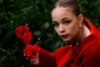 drei Tulpen / ***
