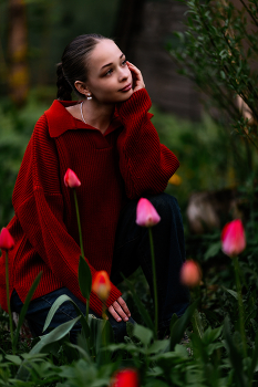 Von Tulpen / ***
