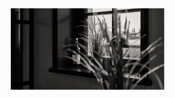 AM FENSTER / ***