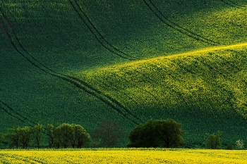 Eintauchen / ***