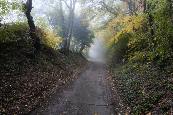 Autumn Romance ... / ***