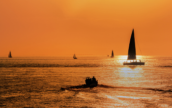 Silhouettes / ***