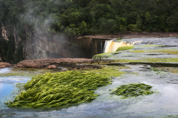 Am Wasserfall / ***