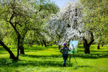 Spring Garden / 2025
