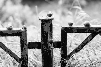 Das Warten / ***