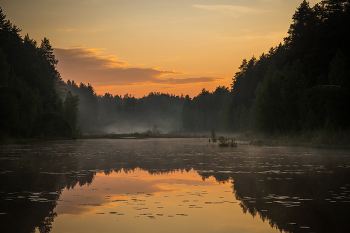Abendnebel / ***