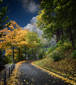 Straße zum Herbst / ***