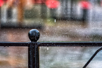Regen / ***