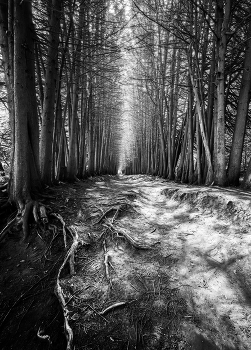 ausgehende ... / ***