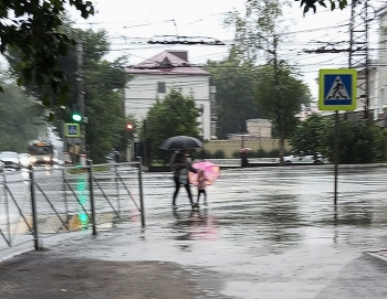 Regen / ***