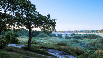 Kühlen Morgen. / ***