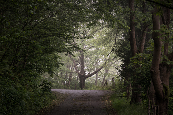 Morning Road / ***