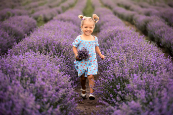 Photoshoot in lavender / Children's photo session in a lavender field