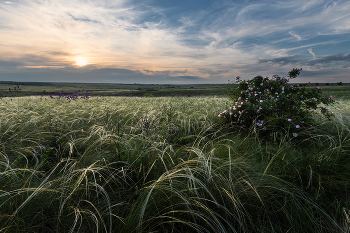 Spring Bank / ***