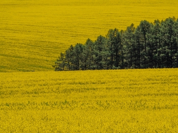 &nbsp; / /\/\/\/\