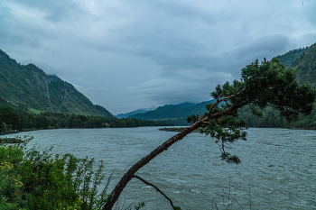 Altai-Gebirge / ***