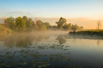 Sommermorgen. / ***