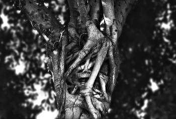 Schrei / ***
