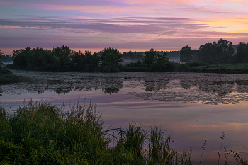 Sommermorgen. / ***