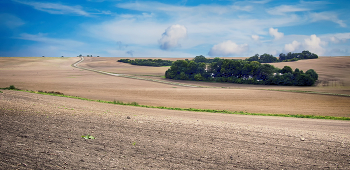 Straße in einem Feld / ***