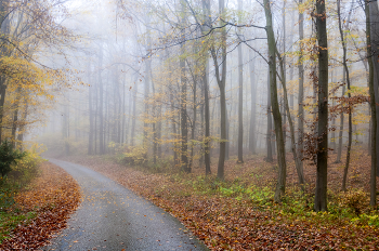 Nebel zerstreut / ***