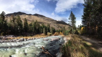 Streamlet / ***