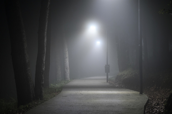 Night Misty Road / ***
