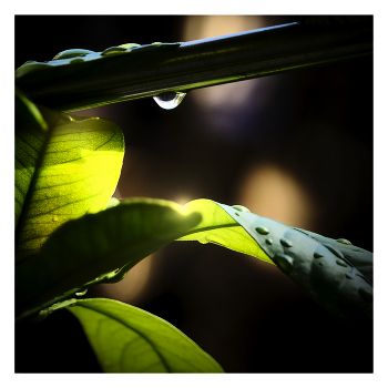 RAINING BREAK / ***