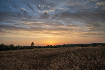 Morgen / ***