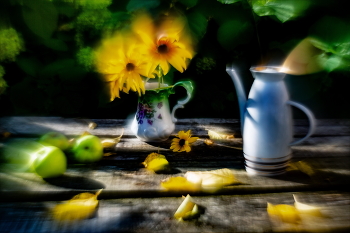  / ***