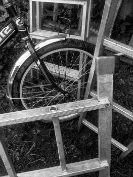 Leben rund um / ***