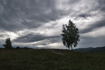 Vor dem Regen / ***