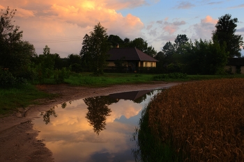 Abenddämmerung / ***