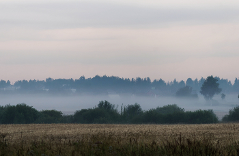 Nebel / ***
