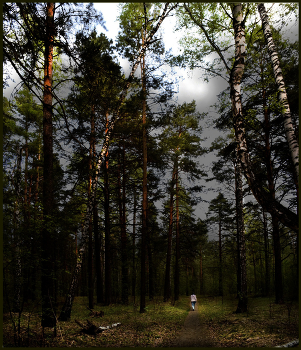 Abenddämmerung / ***