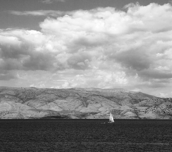 White Sail / ***
