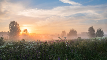 Nebliger Morgen / ***