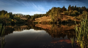 Morgen auf dem See / ***