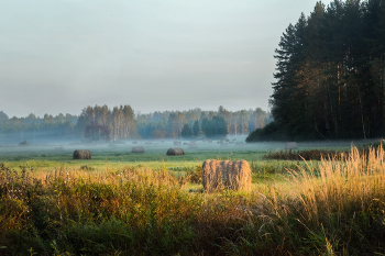 sanften Morgen / ***