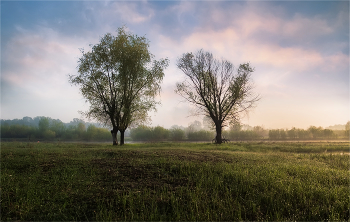 auf der Morgentau / ***