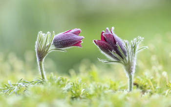 Er und sie ... / ***