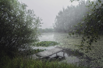 Nebliger Morgen / ***