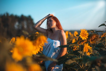 Sunrise / ***