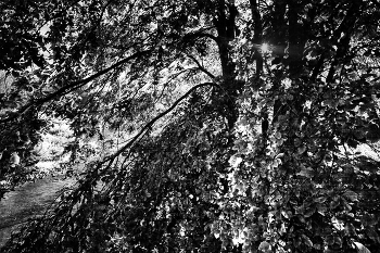Leben rund um / ***