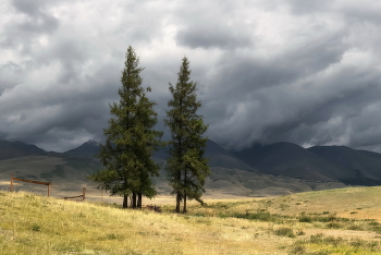 Vor dem Regen / ***