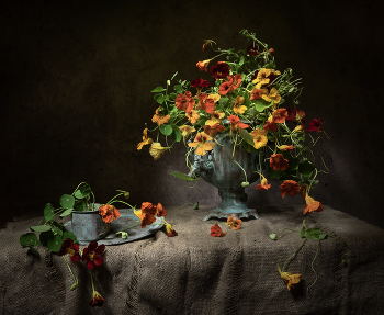 Sommer Farben ... / ***
