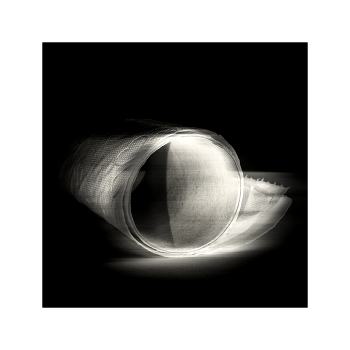 TOILET PAPER / ***