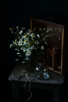 Mit Gänseblümchen ... / ....................