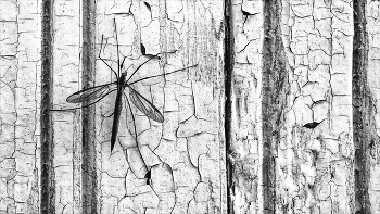 Leben rund um / ***